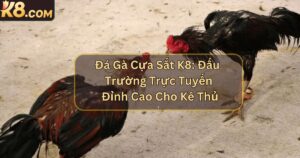 Đá Gà Cựa Sắt K8: Đấu Trường Trực Tuyến Đỉnh Cao Cho Kê Thủ