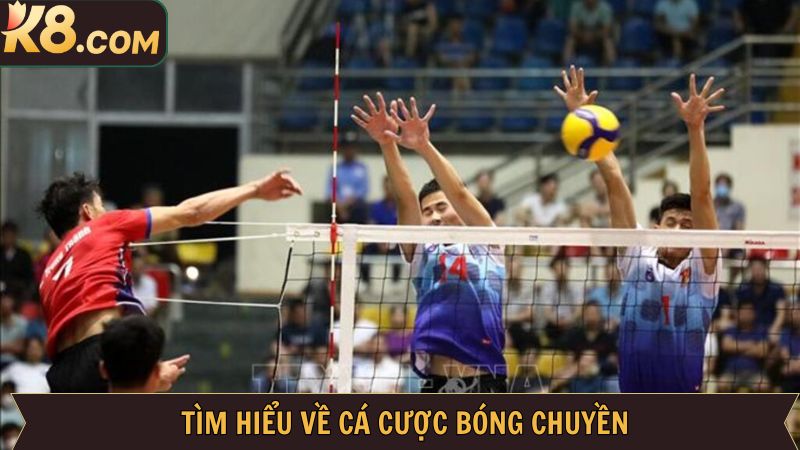 Cá Cược Bóng Chuyền - Đặt Cược Đơn Giản Tại Thể Thao K8 2 Tìm hiểu sơ lược về hình thức cược bóng chuyền